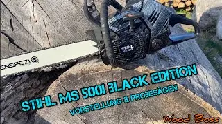 Stihl MS 500i black Edition By Wood Boss, Kurze Vorstellung der Säge + Probesägen