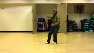 Water Taiji (Tai Chi) 水性太極拳 Complete (normal speed)