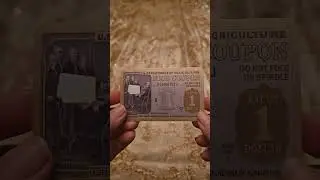 &ldquo;Food Coupon Gold&rdquo; Credit Card Skin #FoodCouponGlowUp #RikyOnEBTMode #GoldenSwipe #CreditCardSkin #F