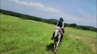 Yuri IG videos 7.4.25 yulyulk