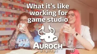 What it&rsquo;s like working for game studio Auroch Digital