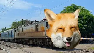 Smiley Fox Face Cartoon Puri KamakhyaExpress Express Train Throughout Railgate...