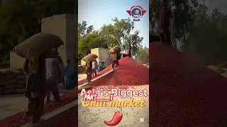 Asia&rsquo;s Largest Red Chili Market 🌶️ | part 1
