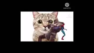 Thanos Vs Spider-Man Learn Animals Free Funny Nursery Rhymes Finger Family  Learn Colors!