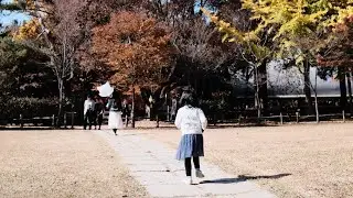 M&ugrave;a thu ở SEOUL H&agrave;n Quốc 2022 / SEOUL Korea Autumn October 2022