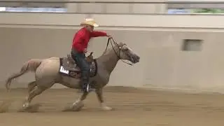 Eighty Six Classic WJC2017 Open Reining 1st go