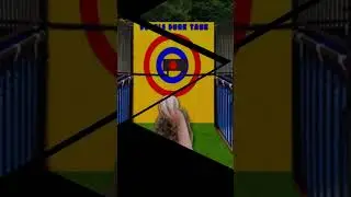 Dunk Tank Long Island