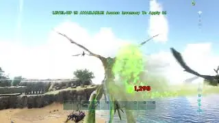 Ark primitive plus raid