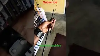 tailwalk,  fullrange bc rod broken