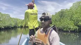 PRIETO DIAZ Mangrove Eco-Park