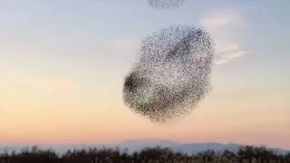 Complexity Thoughts