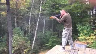 Romanian psl