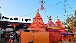 Nageshwar Nath Mandir Pupri | Somvari | Shravani mela | 2025 | Pupri Page