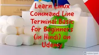 #linux  Command Line Terminal Basic for Beginners in Hindi on udemy