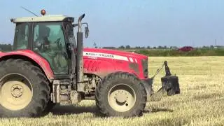 Trinciatura triticale: CLAAS Jaguar 960 e Direct Disc 520 + Massey Ferguson x 3