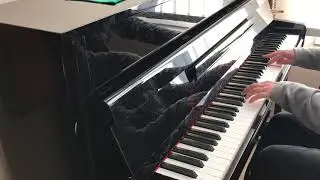 Bistro Fada (Pianocover)