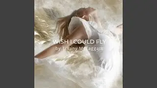Wish I Could Fly