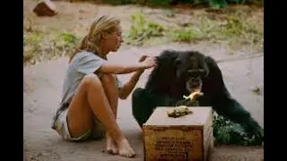 Best Documentary - Wildlife Youtube 2019 Nat Geo Wild Nature Animal Discovery Channel Animals 2019
