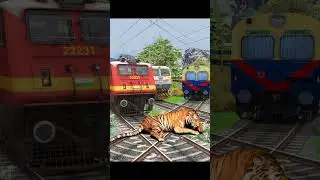 Three Trains vs Tiger | Stops the train - Train Simulator