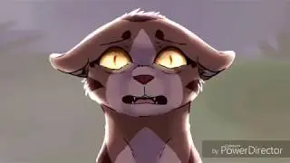 Leafpool/Feuille de Lune - I found AMV