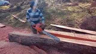 Husquvarna 272 xp .maquininha valenti apitano bunito com sabre de 24 polegadas 💪💪🙏👏✊