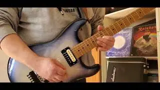 Guss Pickups Salamanders Set