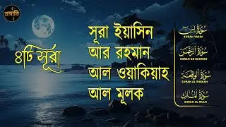 সূরা ইয়াসিন আর রহমান ওয়াকিয়া মুলক - কুরআনের ৪টি সূরার সুন্দর তিলাওয়াত