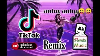 NO COPYRIGHT TIKTOK REMIX//aning aning