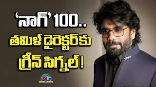 Nag 100.. Nagarjuna gives green signal to Kollywood Director ? | Nagarjuna Akkineni || @NTVENT