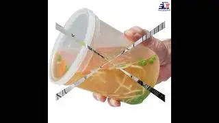 Disposable Plastic Daily Container to Go and to keep your food safe