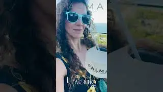 Palma Miami Beach 🌴 | Airbnb-Ready Luxury Steps from the Ocean