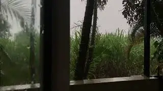 lming Rainfall Atmosphere &mdash; Soft Rain Sounds to Help You Sleep, Relax and Unwind
