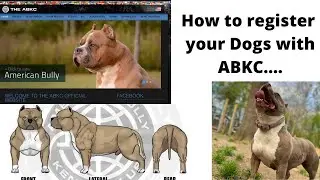 How To Register Your dog/puppy with ABKC