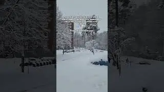Dream comes true 🤍❄️🌨#viral #trendingreels #winter #snow #sweden #trending #snowwhite