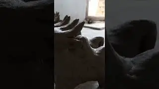 How to make ox with clay ||mitti se bail kaise banaye #shorts #pola