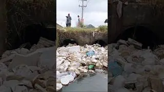 Trying to Remove garbage and plastic Full Clogged Canal #shorts #satisfying #cleaning
