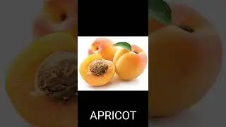 TOP 10 FRUITS HIGHEST IN PROTEINS #shorts #viral  #viralvideo