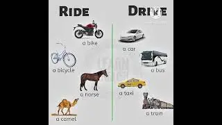 Difference between Ride and Drive