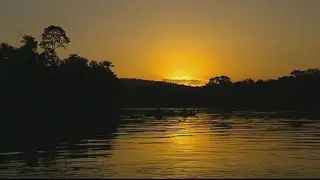 French Guiana: A tropical overseas territory