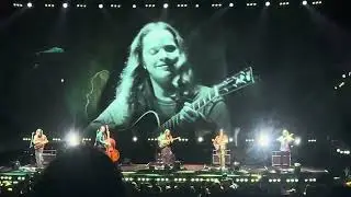 Billy Strings - Fearless (Pink Floyd cover) #billystrings #bmfs
