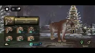 Geting The Saber-Tooth Cat!
