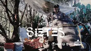 Sietes - Morfología del Pulque (Serie)