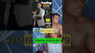 Meilleur trader camerounais