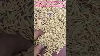 Paddy seed PB 1718 some more new varieties are available..