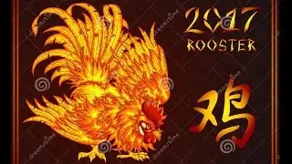 BEWARE! 2017 THE YEAR OF THE FIRE ROOSTER!