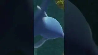 DELMA - The&nbsp;Dolphin #delma #dland #funnuggets #kandns