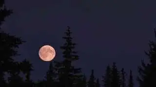 Moonrise by Sharon Gerber
