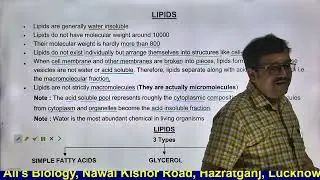 Biomolecules   Lipids and Mono & Oligosaccharides