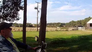 Adrian's Antics ep1. Arlington Way in Thetford and the Shadwell Nunnery Stud on a mobility scooter
