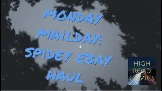 Monday Mailday: High Road Comics unboxes AMAZING SPIDER-MAN KEYS eBay Haul?